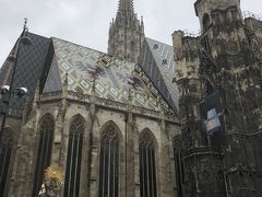 大雨の中、なんとかシュテファン大聖堂に到着。
とても大きくて、全てを写真に収めるのは難しいです。
そして、見事な屋根のタイル。描かれているのは、ウィーン市の紋章と、オーストリアの国章だそうです。
