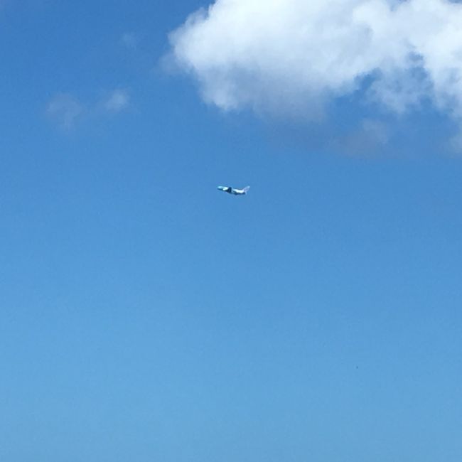 これはANAのA380です。