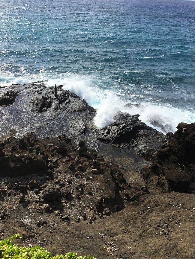 海沿いをドライブして潮吹き岩にも行きました。