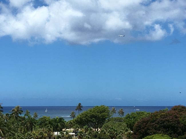 ここからは空港から離陸した飛行機が見えました、これはハワイアン航空だと思います。
