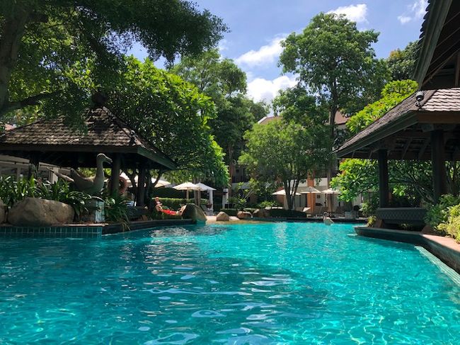 WOODLAND　RESORTの客室・プール・水質等・・。<br />クオリティの高いパタヤのホテルではちと微妙な感じを・・。<br /><br />だども～これぞ待ちに待った夏休み～であります。<br />プールサイドで暫しまったり～。<br />が欧米人の様な長い時間は出来ない貧乏性。<br />