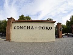 【チリ最大のワインメーカー：Conche Y Toro】

『チリ最大のワインメーカー：「コンチャ・イ・トロ」』