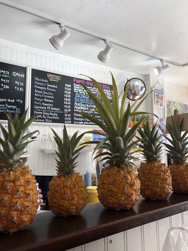 最後にハワイアンクラウンプランテーションのパイナップルスムージーを飲んで、いよいよワイキキとお別れ…。