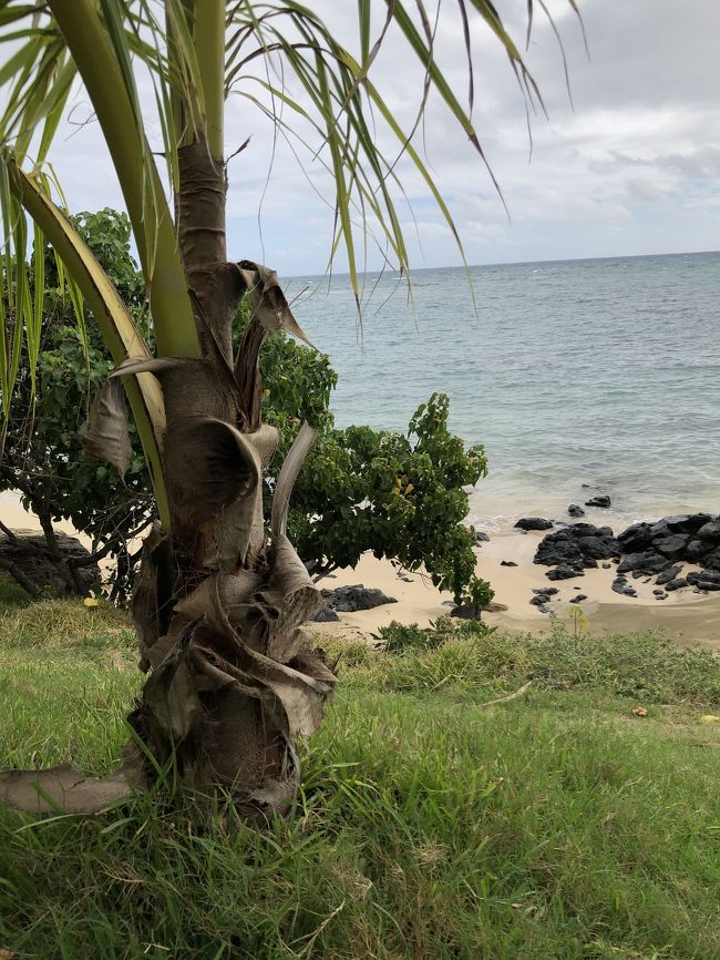 まずはカイルアに向かいます。<br />グーグルマップで調べると、山の中のフリーウェイで行くのと海沿いの道、どちらもたいして時間変わらなかったので、景色のいい海沿いの道をドライブして行くことに。<br /><br />途中、何にもないところで夫がいきなり「ここら辺景色良さそう！」と車を止め始めました。<br />えー、そう？と思いながら、付いていくことに。