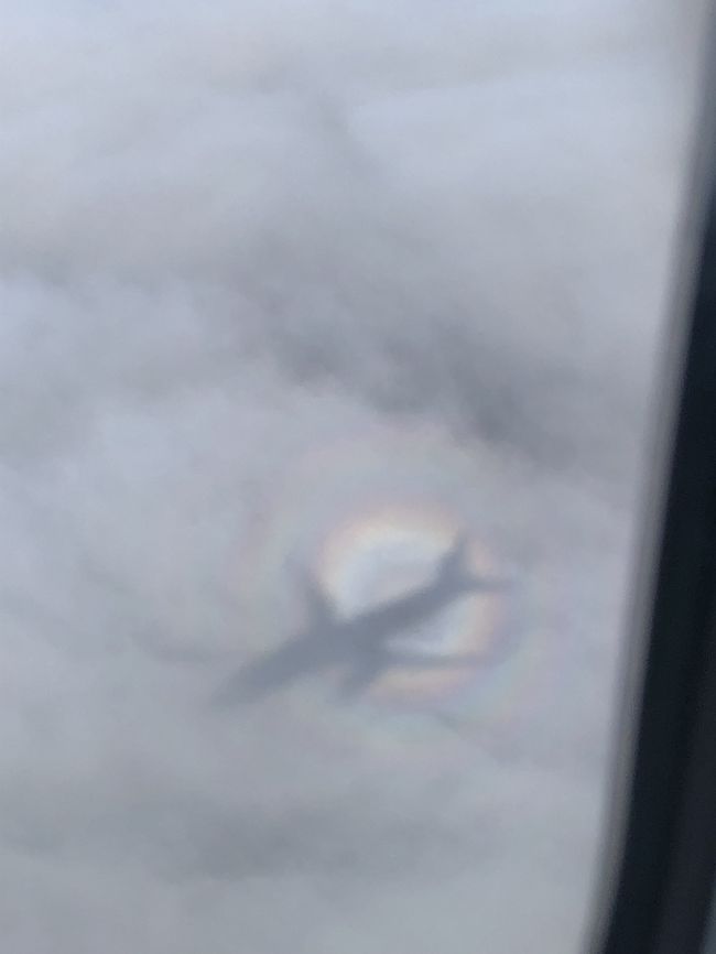 今年はハワイ島にも行けて、もちろんすごく楽しい旅だったけど、いつも以上にあっという間に終わってしまった感があります。<br />まぁ、楽しかったからこそそう思えるんだよね！<br />また来年、来れるように一年がんばろう！！