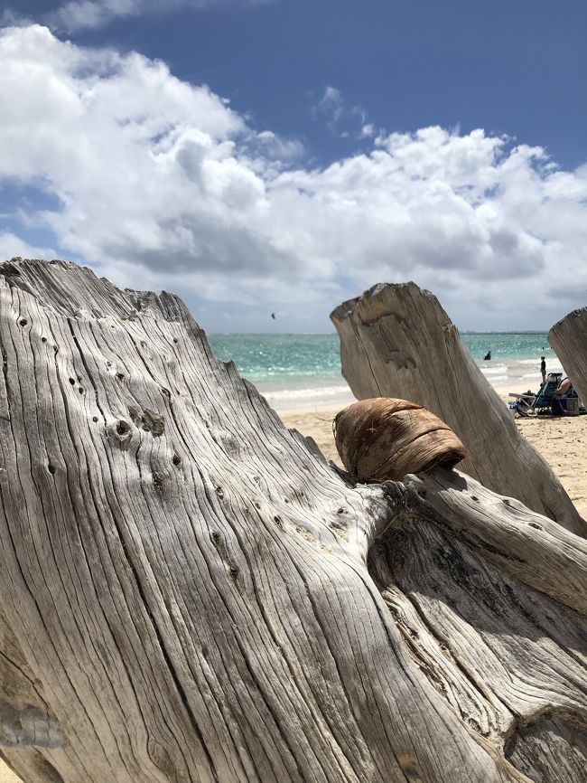 でも反対側を見るとこんなにいいお天気！<br /><br />いつあの雨雲がこっちに来るか分からないので、晴れてる側で写真だけ撮ってすぐに撤収しました。