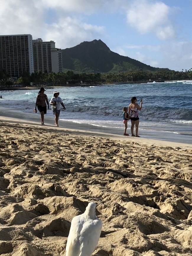 食後のお散歩。<br />本当に帰る気がしない…。