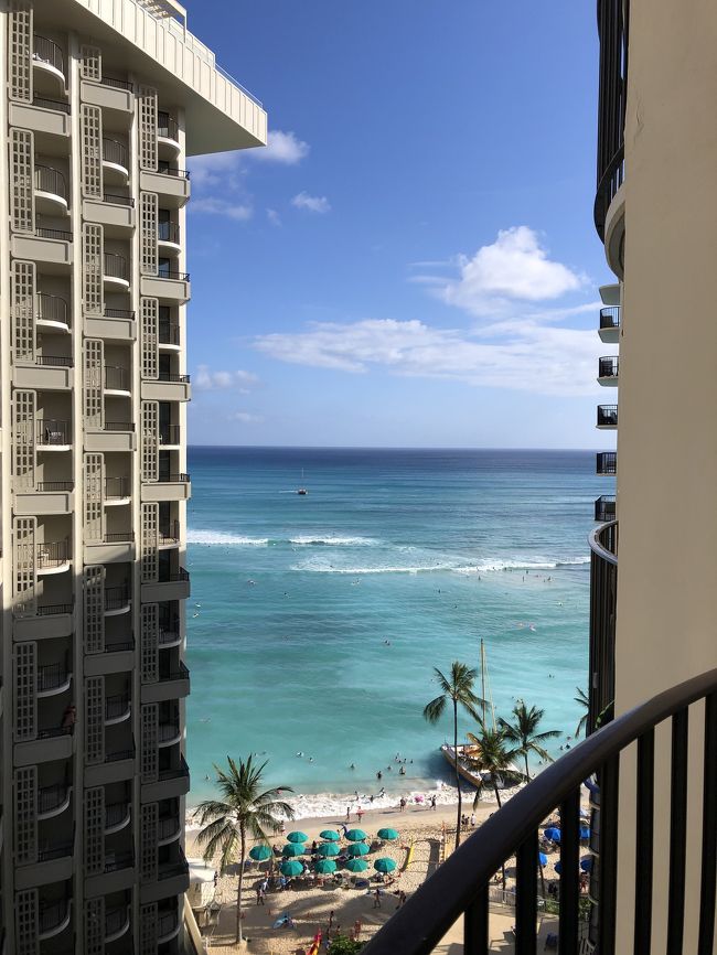 なんともう帰国日の朝！<br />早すぎる…。本当に早すぎて帰る実感全然湧いてなかったです。