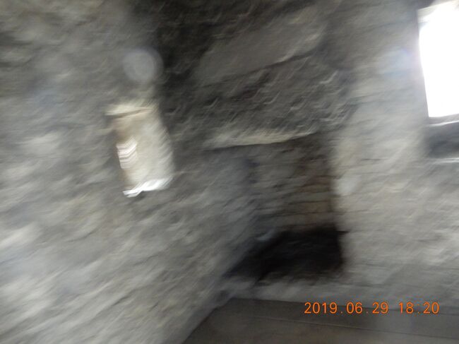 日本製の新型デジカメラでも、動くと流石にこんなのしか撮れません。