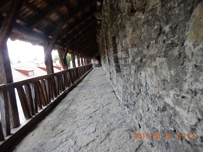 だが、こういう｛地味｝なのはあまり人気が無いようです。