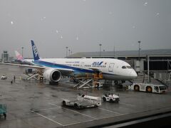 ANA787で羽田へ
朝7時発の成田行きの特典ビジネスはとれず、午後初の羽田便がとれた
羽田到着が遅いから？