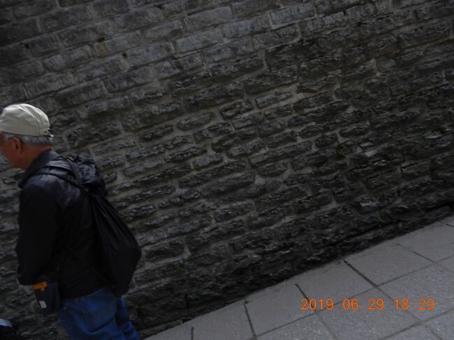 Patkuli Stairs（Patkuli trepp）史跡<br />　　Rahukohtu 3, 10130 Tallinn, エストニア<br /><br />旧市街から、此処の階段を登ると展望台。