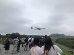 ブールで一時間位遊んで着替えて、ベタですがさくらの山公園で飛行機を息子に見せます、ここは電車も見れるので一粒で二度美味しい。