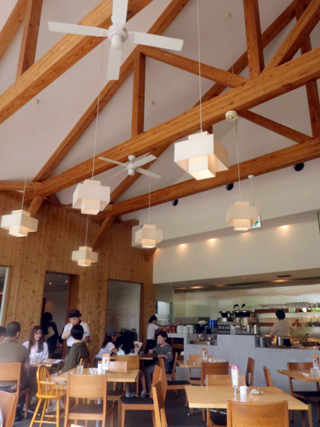 広々とした店内