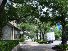 梅雨の晴れ間に播磨坂をぶらぶら。