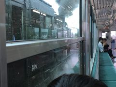 息子もSLの音が怖くてSLには乗らず、普通列車の車窓からSLが走るのを眺めました。