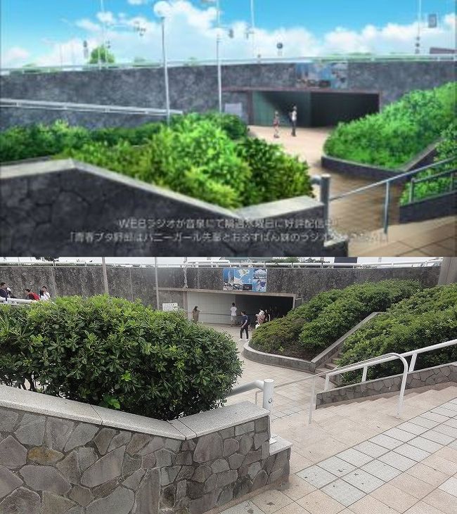 江ノ島 青春ブタ野郎はバニーガール先輩の夢を見ない 聖地巡礼 藤沢 江ノ島 神奈川県 の旅行記 ブログ By ｍａｒｓｙさん フォートラベル