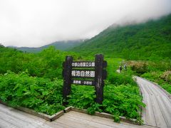 栂池自然園は標高1900m、日本有数の高層温原です。
残念ながら白馬大雪渓は眺望できず。

　