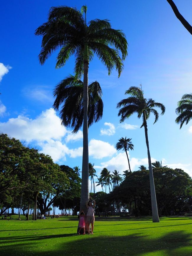 ワイキキの中心部に向かう途中の公園でヤシの木ポーズ。東京が何週間も雨続きだったので、太陽光を浴びるだけで幸せな気持ちでした。