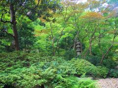 次に八芳園の日本庭園と背中合わせのシェラトン都ホテル東京の日本庭園へ。