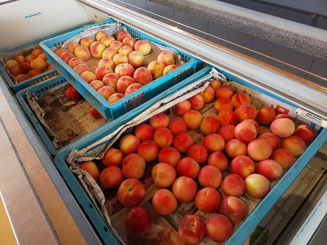 2019 7 28 こだわりの桃農園で桃狩り 食べ放題付きミステリーツアー 飯田 長野県 の旅行記 ブログ By まるなさん フォートラベル 2019 7 28 こだわりの桃農園で桃狩り 食べ放題付きミステリーツアー 飯田 長野県 の旅行記 ブログ By まるなさん フォートラベル