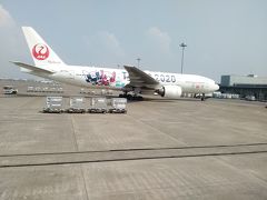 JALのTOKYO2020機
記念に何枚も撮影しました