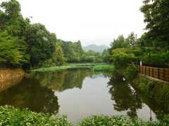2019.07.28　嵯峨嵐山
御髪神社という、ネーミング的に割と有名なお寺の近く。