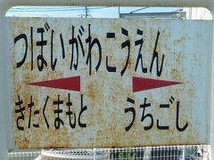 2019.07.30　坪井川公園
北熊本まで行ったら写真は撮れないので１駅手前で降りてみるものの…