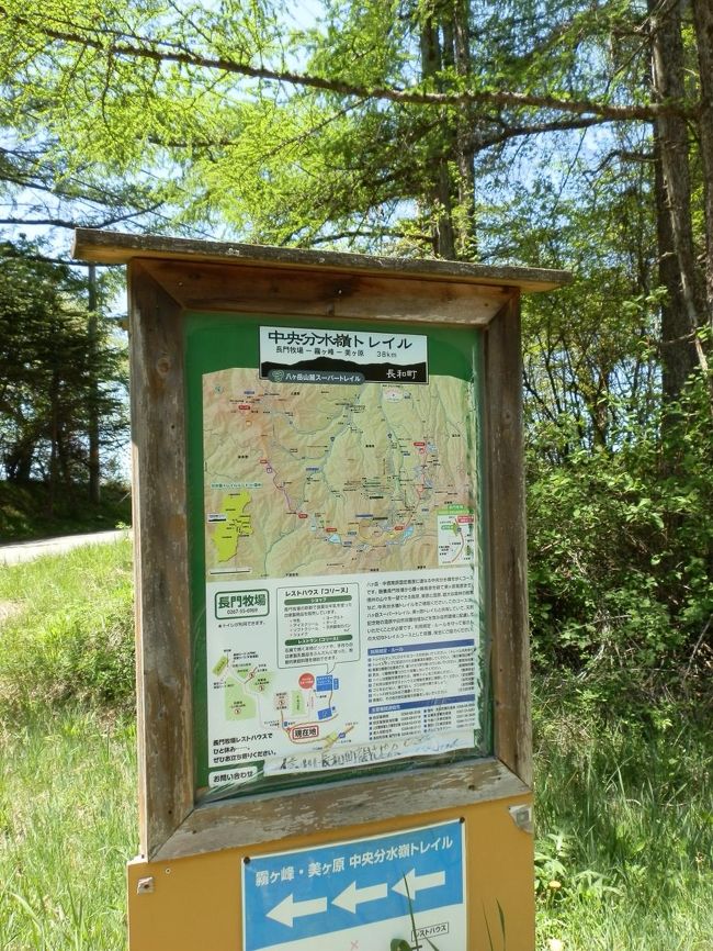 信州白樺高原トレイル 長門牧場 女神湖 白樺湖 蓼科 車山 長野県 の旅行記 ブログ By ガッサンさん フォートラベル 信州白樺高原トレイル 長門牧場 女神湖 白樺湖 蓼科 車山 長野県 の旅行記 ブログ By ガッサンさん フォートラベル