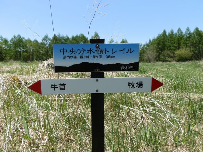 信州白樺高原トレイル 長門牧場 女神湖 白樺湖 蓼科 車山 長野県 の旅行記 ブログ By ガッサンさん フォートラベル 信州白樺高原トレイル 長門牧場 女神湖 白樺湖 蓼科 車山 長野県 の旅行記 ブログ By ガッサンさん フォートラベル