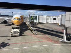 初のnokscoot 2万円バンコク往復 安くて衝動買いしてしまいました lccだけど成田第２ターミナルなのはワイドボディだからかな 搭乗口は88で一番遠かったです あとキャビンアテンダントさんの英語が聞き取りにくかったのは印象的