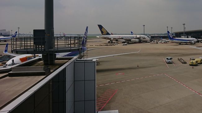 短時間の滞在です。長机の席をリクエスト。<br />それは何故かというと、窓の外に関空で<br />運用されていたのが先頃成田へと変更された<br />シンガポール航空のA380を見ることが出来るから。