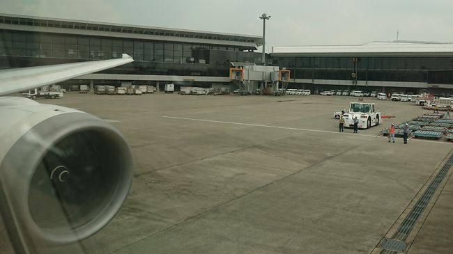 いつもありがとうございます。<br />それでは行って参ります。