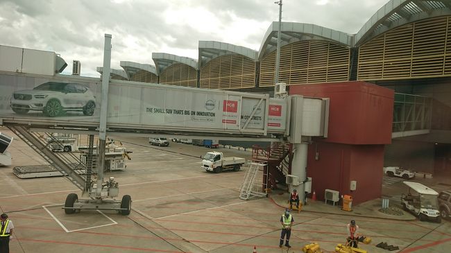 スポットイン。