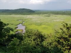 写真はコッタロ湿原展望台からの景色です。展望台にいらした、ここに何度か来てるという方によると「今年は水が少なめだなあ」と言ってました。