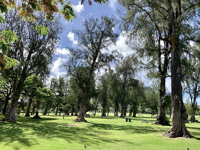 公園の中を進みます