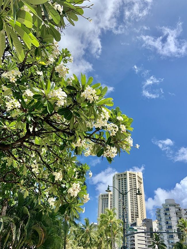 ホテルに戻ってチェックアウトしなきゃ