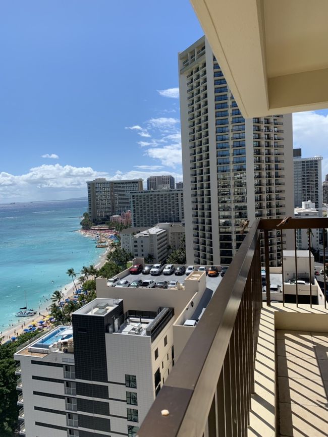 今日もいい天気です！