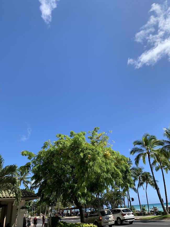 最高です。<br />今日は、4日目です。<br />何も予定を入れていない、フリーな日です。<br />アラモアナショッピングセンターまで買い物に行きます。