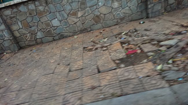 歩道は整備されていましたが、所々<br />荒れている箇所も見受けられました。