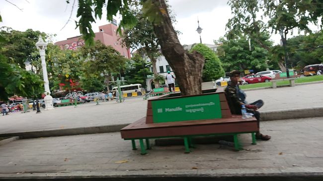 大きな公園です。