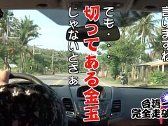 高雄を経由し、台東に入りました。
ここまで来ると南国チックな風景になって来ます。

台湾で人気の熱帯のフルーツ「釋迦頭：別名バンレイシ」の看板が多く出て来ますが、読み方が分からない為、キン●マと呼んでました。