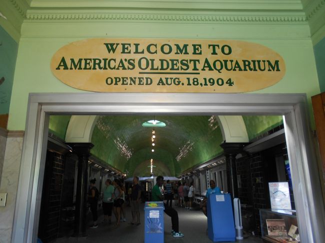 水族館入口、寄付金ベ－ス