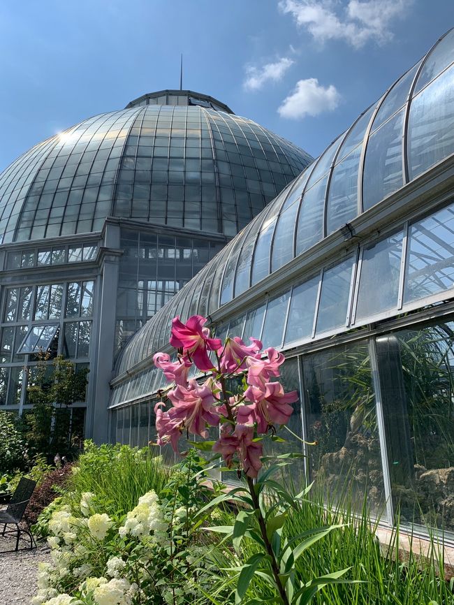 百合とガラス、青空