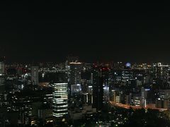 そして東京タワーから見る夜景はこんなかんじです。