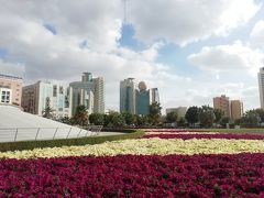 駅の裏にはお花畑が！よく整備されているなぁ( ˘ω˘)ｽﾔｧ