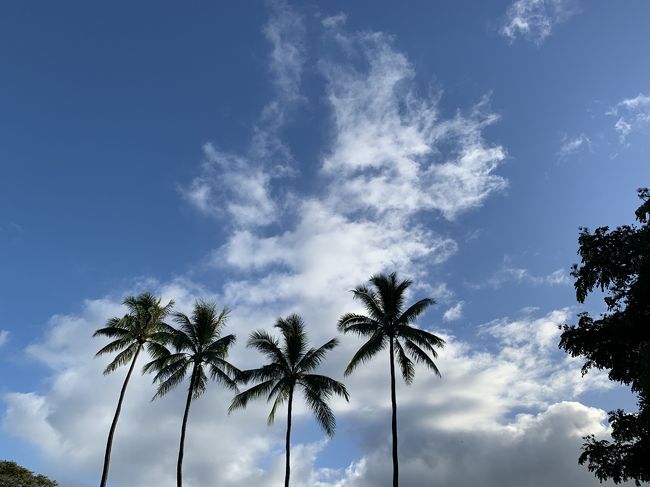 こちらもいい感じです。<br />これにて朝の散歩は終了です。なんか寂しいな～！