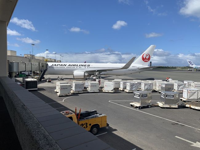 ＪＡＬです。これに乗って帰るのかな～