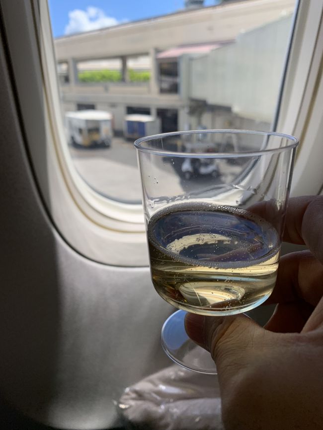 早速ウエルカムシャンパンを頂きました。<br />よくブログ等で見る感じで撮ってみました（笑）