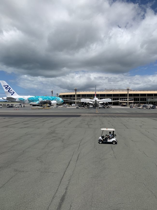 動き出しました。ＡＮＡさんお先に失礼！